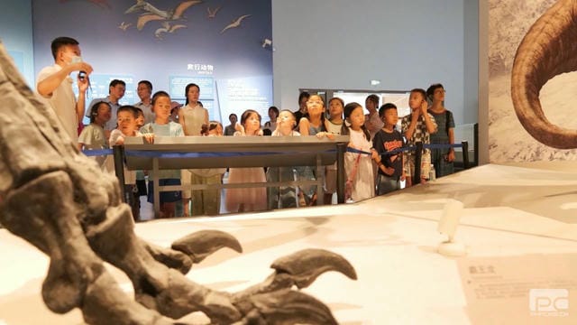 拉斯维加斯3133cc(中国集团)有限公司官网