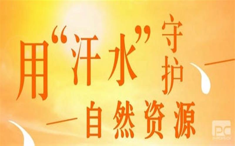 直面“烤”验 拉斯维加斯3133cc有我（一）