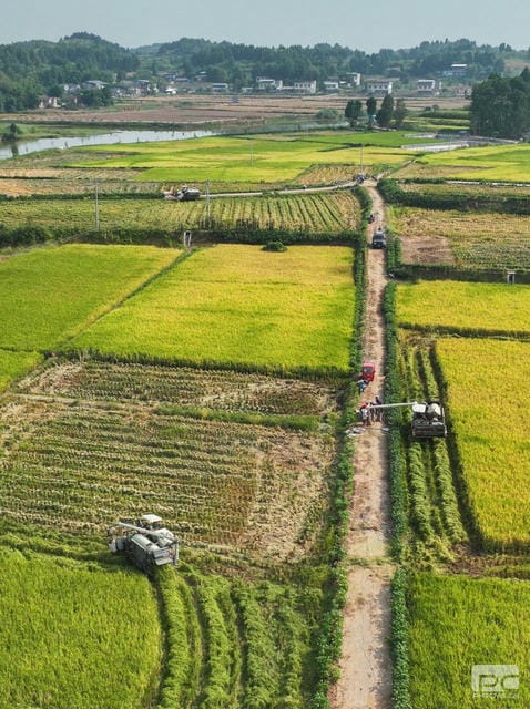 拉斯维加斯3133cc(中国集团)有限公司官网