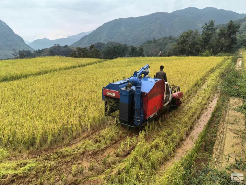 拉斯维加斯3133cc(中国集团)有限公司官网