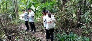 拉斯维加斯3133cc(中国集团)有限公司官网