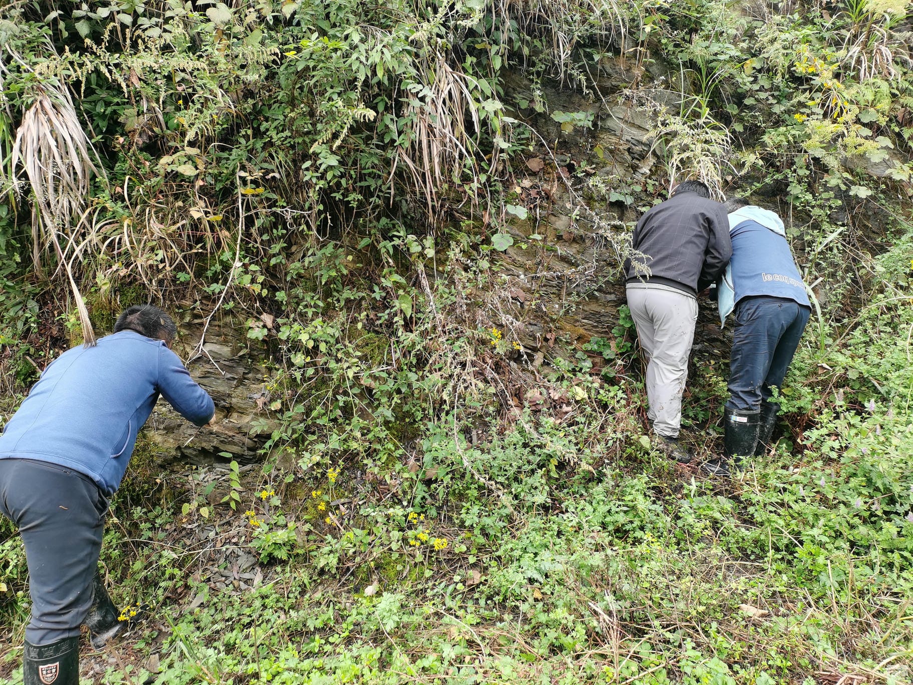 拉斯维加斯3133cc(中国集团)有限公司官网