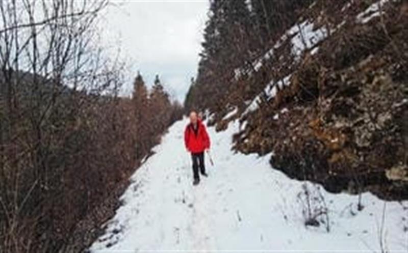 喜报频传，，区调队再中标凉山州地勘基金项目