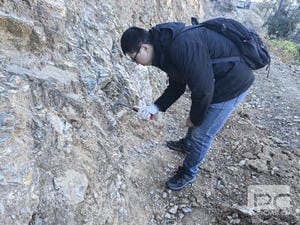 拉斯维加斯3133cc(中国集团)有限公司官网